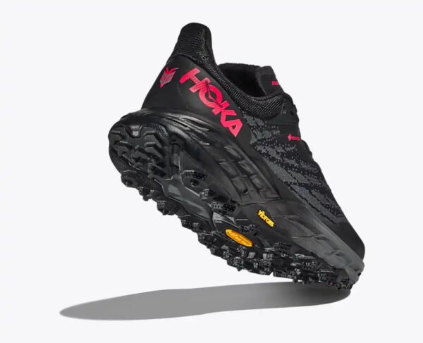 Speedgoat 5 GTX Spike - black / black